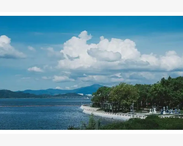 润喉清肺去火养生茶，呼吸健康，远离病痛困扰！